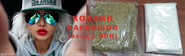 гашик Елизово
