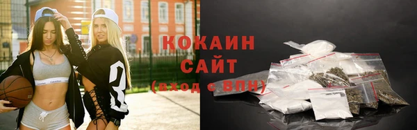 гашик Елизово