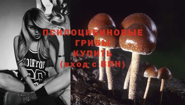 гашик Елизово