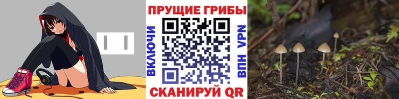 Купить закладки  Чишмы  Галлюциногенные грибы ЛСД 